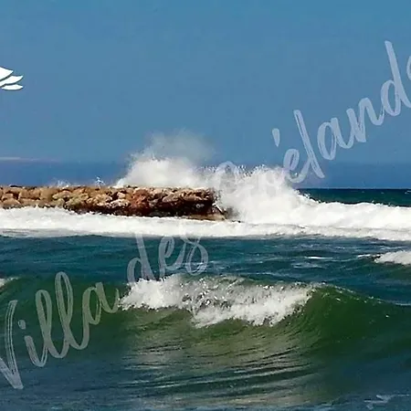 La Des Goelands *